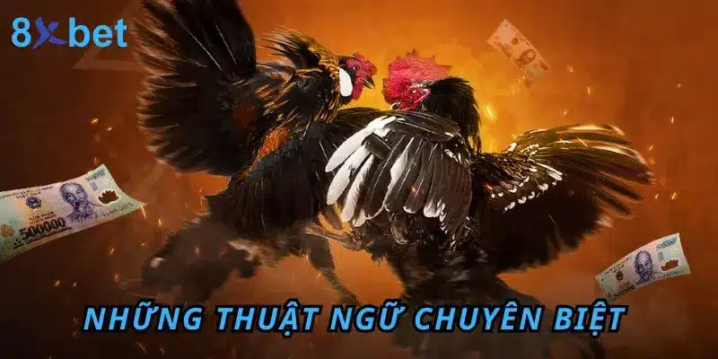 Đá Gà Thomo 8Xbet – Sân Chơi Đỉnh Cao Cho Anh Em Đam Mê Những thuật ngữ chuyên biệt